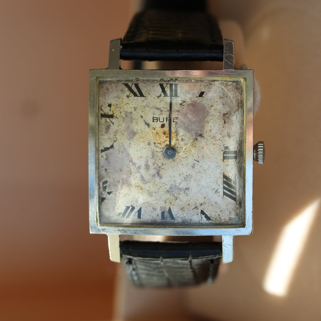 burren watch