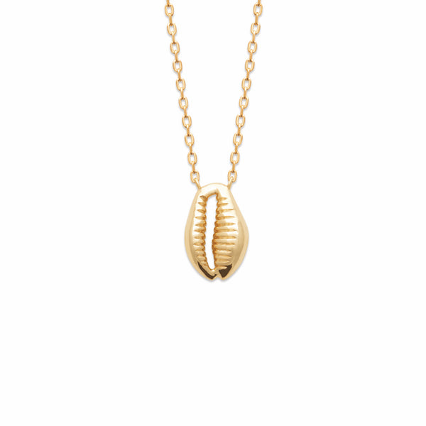 Burren Jewellery 18k gold plate shell we go necklace