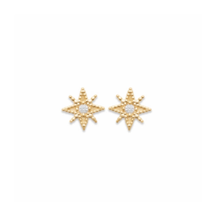 Burren Jewellery 18k gold plate we're fine earrings