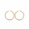 Burren jewellery 18k gold plate everyday hoop earrings jaylin alt