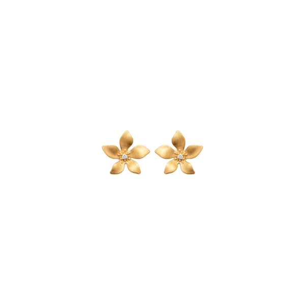Burren jewellery 18k gold plate gentian earrings