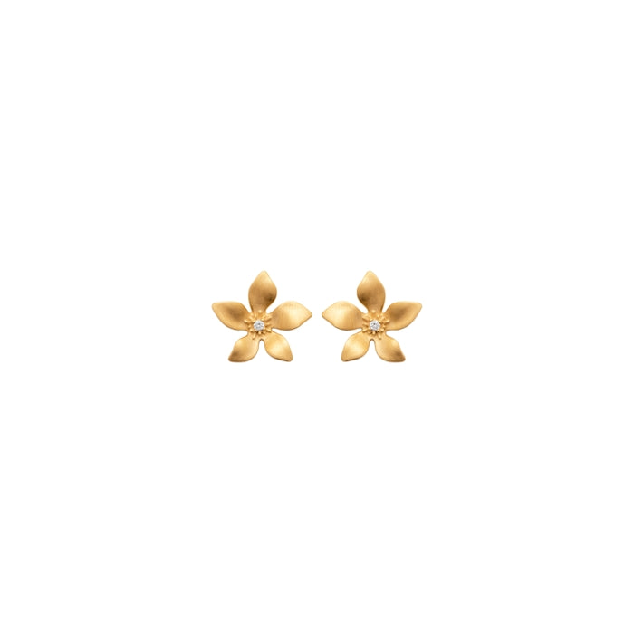 Burren jewellery 18k gold plate gentian earrings