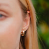 Burren Jewellery 18k gold plate raindrops small earrings model