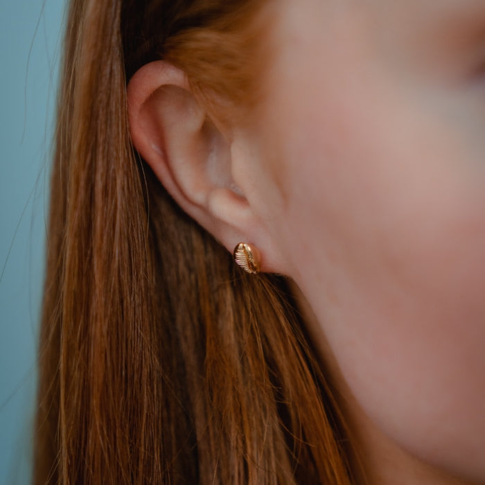 Burren Jewellery 18k gold plate shell we go earrings model