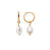 Burren jewellery 18k gold plated Yano earrings front mixed view